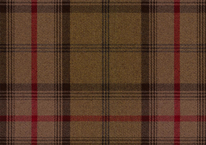 Highland, Hunter - Made to Measure Curtains - Image 8